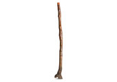 Heartland Didgeridoo (HD515)
